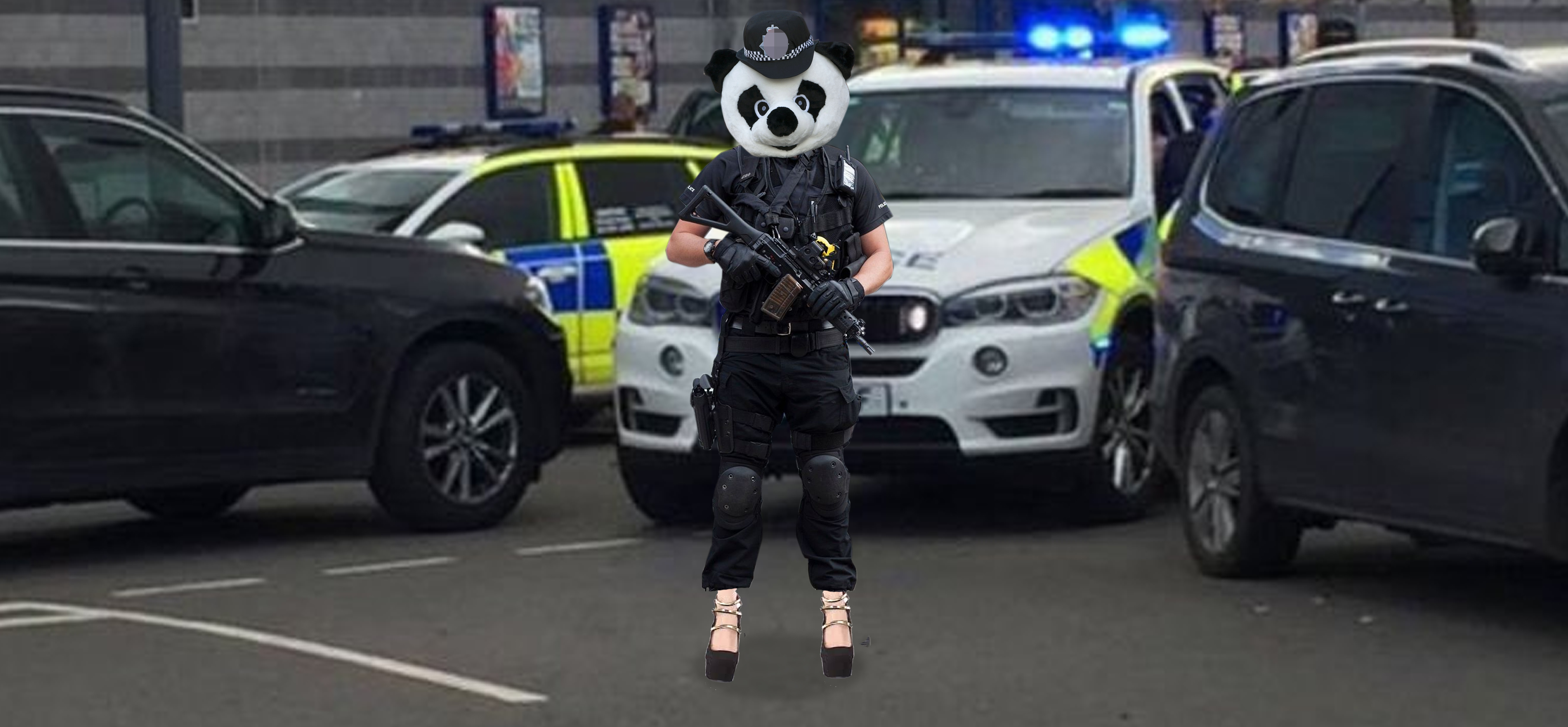 Armed Police Panda Wearing High Heels